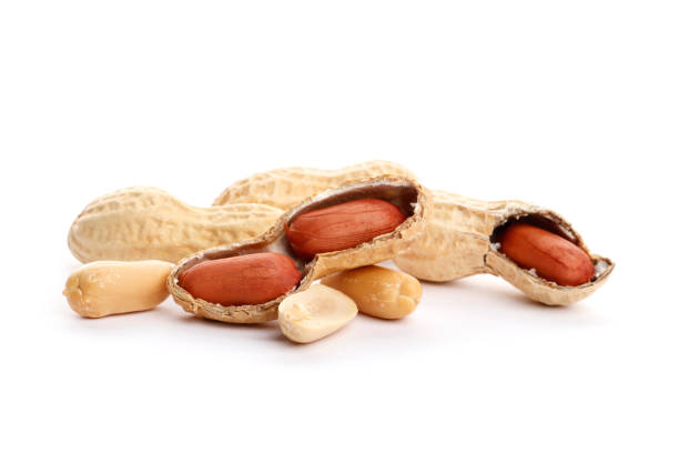 istock Dried peanut crushed  close-up. Dried peanuts on the white background.  Top view. close-up. 1849787841