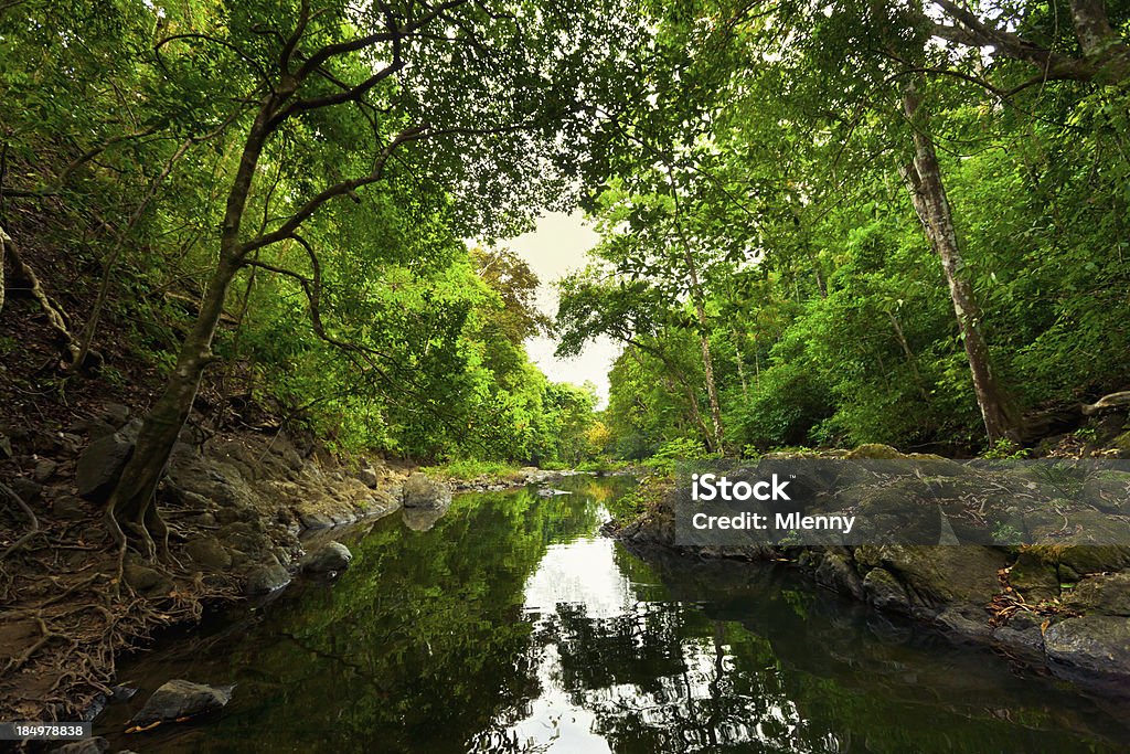 Montezuma foresta pluviale Costa Rica - Foto stock royalty-free di Acqua