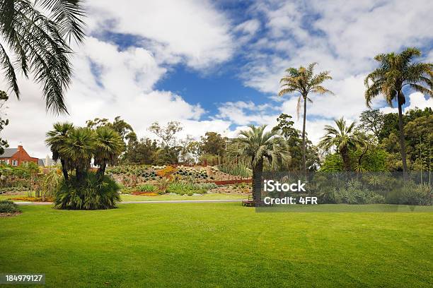 Botanischer Garten Von Sydney Melbourne Australien Xxxl Stockfoto und mehr Bilder von Melbourne
