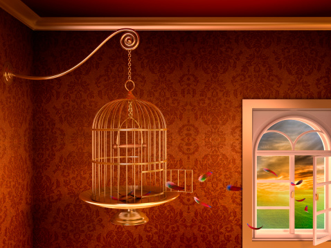 Empty birdcage with open door and feathers. Concept image with freedom theme.Similar images:
