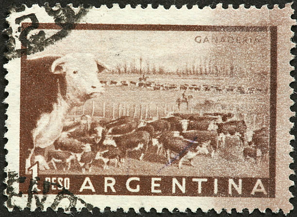 istock very old Argentine stamp with cattle herd 184979215