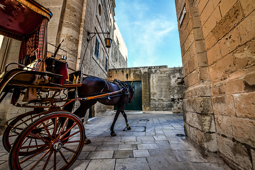 Close Up To Horse Dragging Carriage On Archbishop Street In Mdina, Malta