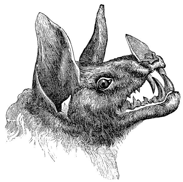 Spectral Bat Engraving From 1867 Of The Spectral Bat Or False Vampire Bat. vampire illustrations stock illustrations