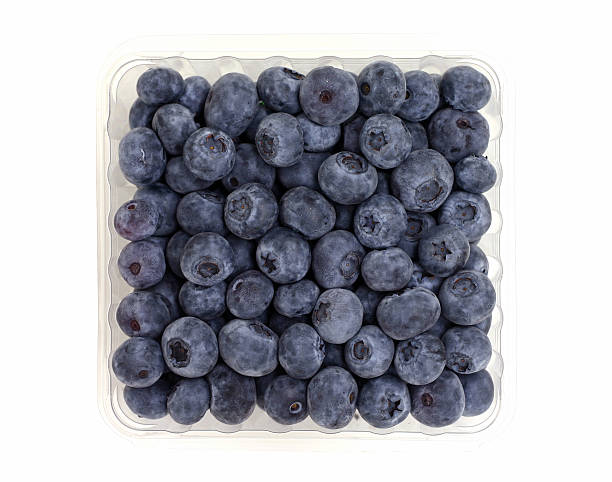 blueberries stock photo