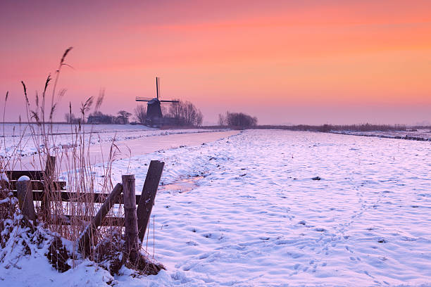 istock Traditional Dutch windmill in winter at sunrise 184980298