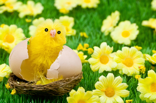 Toy Easter Chick in egg on plastic grass and flowersChrist crucified against a blue sky with sunlight illuminating right hand side.For all my easter related images please see this Lightbox: