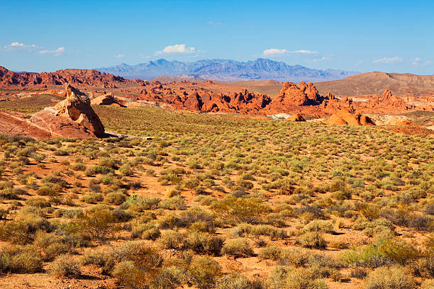 istock Valley of Fire landscape 184980550