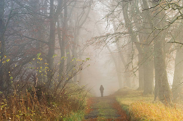 istock Figure in misty woodland 184980757