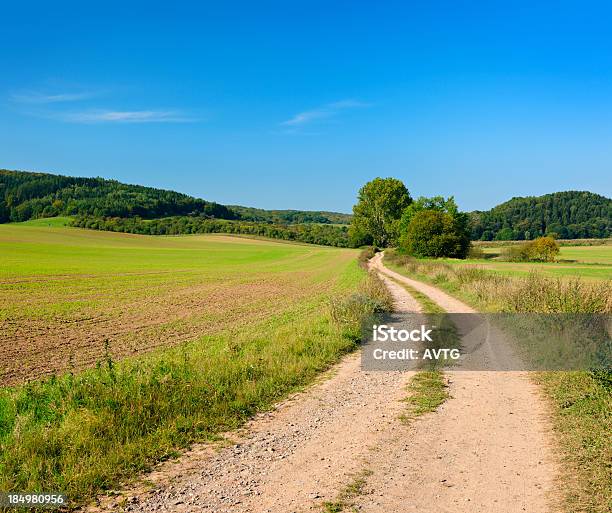 Paisagem Rural Com Estrada Através Do Campo De Bobinar Agrícola E Florestal - Fotografias de stock e mais imagens de Azul