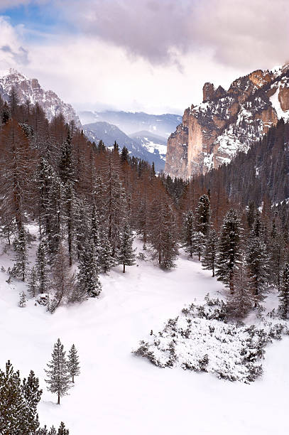 nach der schnee. - apres ski snow mountain loneliness stock-fotos und bilder
