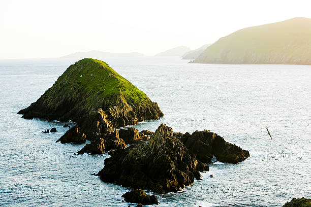 아일랜드-던모어 헤드 - republic of ireland famous place dingle peninsula slea head 뉴스 사진 이미지