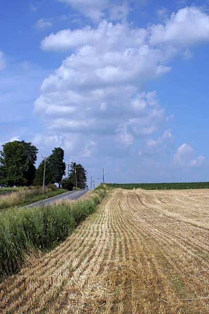 istock Field After Harvest in Lancaster County, PA 184981256