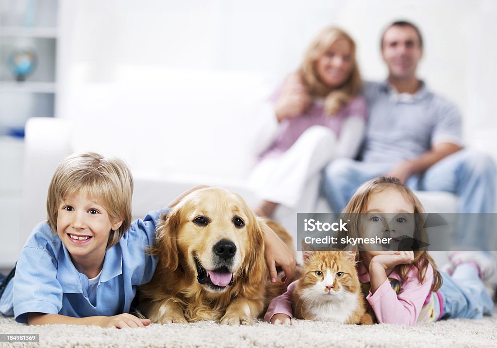 Radosny rodzina i ich zwierzęta hodowlane w domu. - Zbiór zdjęć royalty-free (Kot domowy)