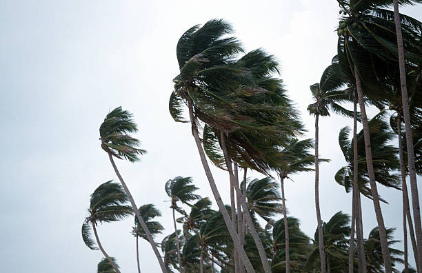 istock Philippines, Aklan Province, Boracay Island. 184981403