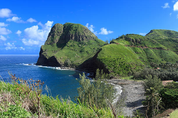 istock Beautiful Maui landscape 184982481
