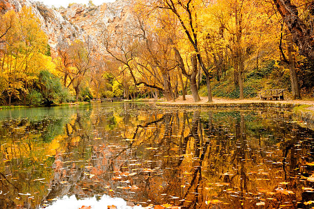 秋の公園 - ピエドラ修道院 ストックフォトと画像