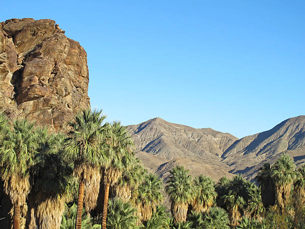 istock Indian Canyons hike near Palm Springs 184982715