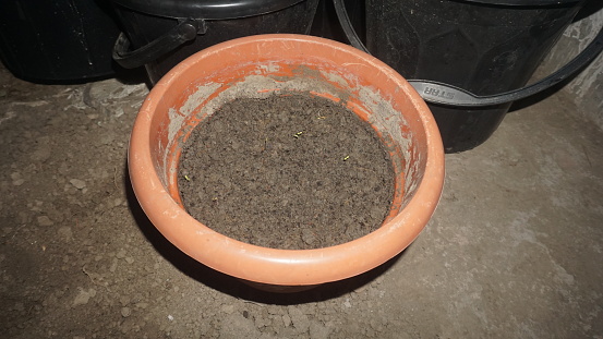 Gardening: Broken Plant Pot and Gardening Equipment