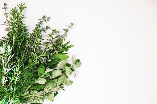 Fresh green basil on the wooden table, selective focus