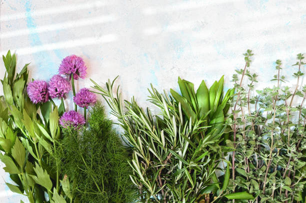istock Variety of spices and mediterranean herbs. 1849830094