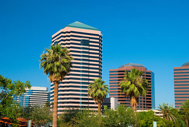 Phoenix High Rises 130+ Clear Sky Phoenix Arizona Palm Tree Stock Photos, Pictures ...