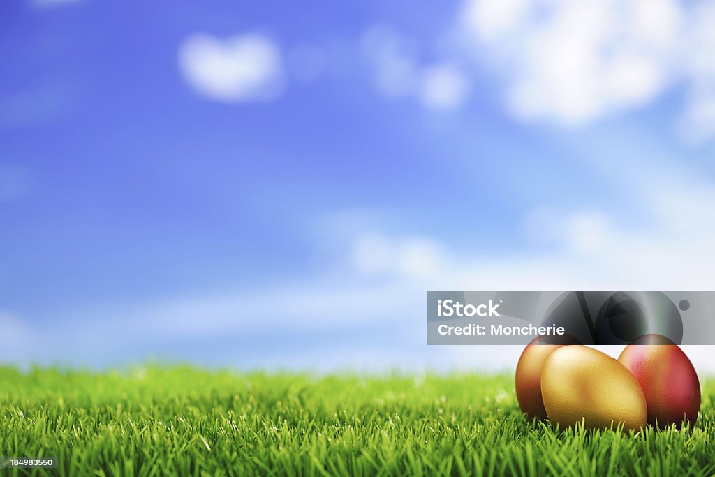 Uova di Pasqua dorata - Foto stock royalty-free di Ambientazione esterna