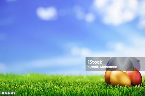 Golden Easter Eggs Stock Photo - Download Image Now - Agricultural Field, Animal Egg, Art