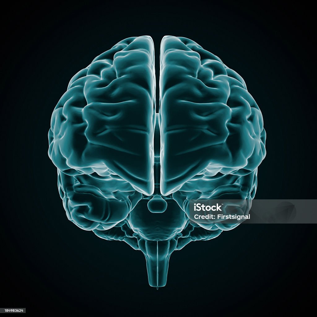 Cerebro humano estilo de rayos X - Foto de stock de Tridimensional libre de derechos