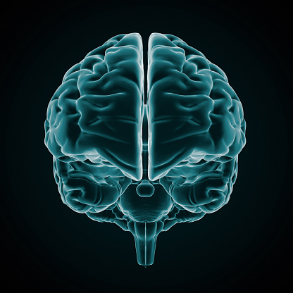 Full CG images made by my self, showing a human brain with a Xray look on dark background.