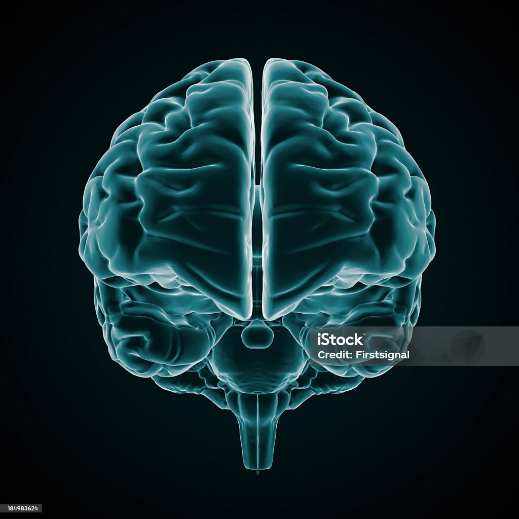 An x-ray of the human brain on a black background Full CG images made by my self, showing a human brain with a Xray look on dark background. Three Dimensional Stock Photo