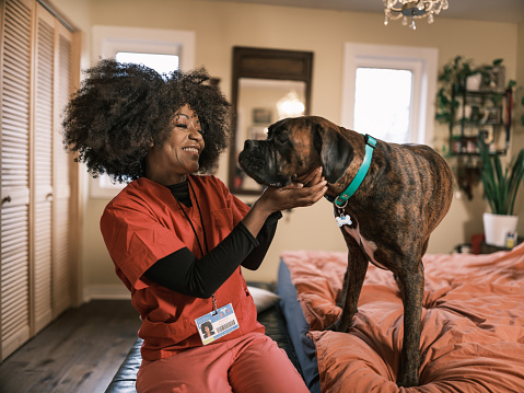 African female registered nurse petting her dog in the morning. She is wearing pink  medical scrubs. Bedroom interior of urban home in Toronto, Canada.