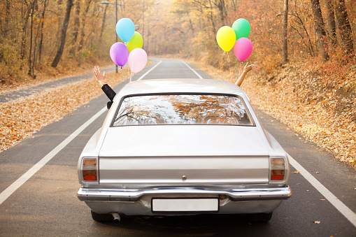 Just married couple with balloons driving in the old timer car through the autumn forest and waving. 