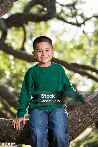 Hispanic Niño Sentado En El Árbol Foto de stock y más banco de imágenes de 4-5 años - 4-5 años, Aire libre, Mirando a la cámara