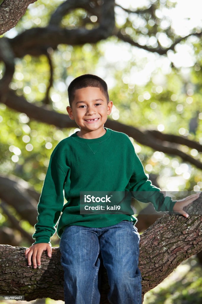 Hispanic ragazzo seduto in un albero - Foto stock royalty-free di 4-5 anni