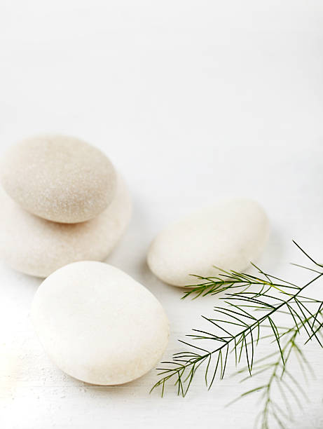 istock Green fern next to white rocks 184985610