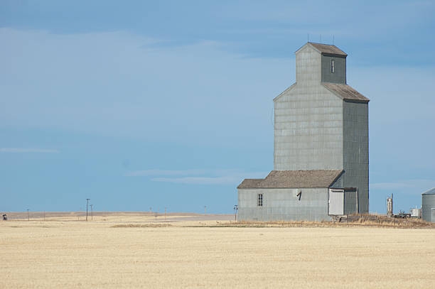 Grain Elevator stock photo