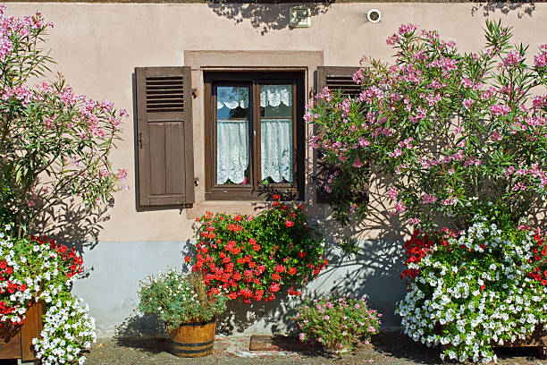 elsass-malerische szenerie in einer kleinen gasse - st hippolyte stock-fotos und bilder