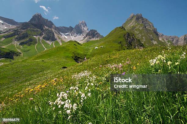 Foto de Nova Montanha Meadow e mais fotos de stock de Montanha - Montanha, Prado, Alpes europeus