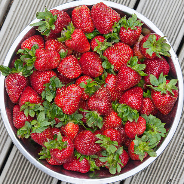istock Plate of freshly collected strawberries 184987035