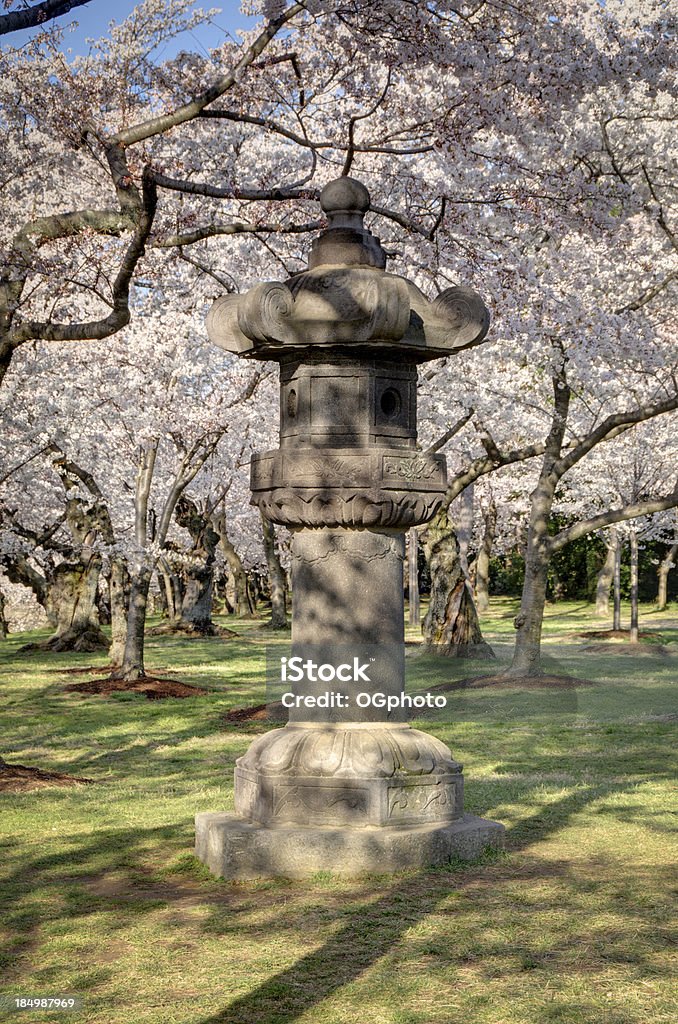 Lanterne japonaise du Tidal Basin à Washington, D.C. - Photo de Amérique du Nord libre de droits