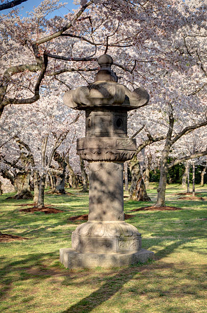 istock Japanese lantern at the Tidal Basin in Washington, DC 184987969