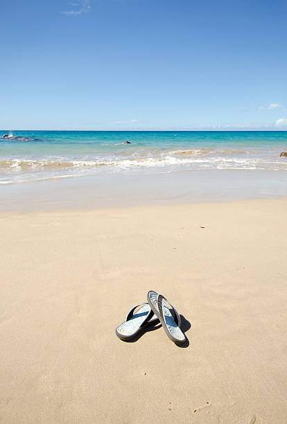 istock Blue Flip-flops On the Beach - Hawaii 184987984