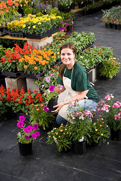 femme travaillant en pépinière avec des pots de fleurs - sc0411 photos et images de collection