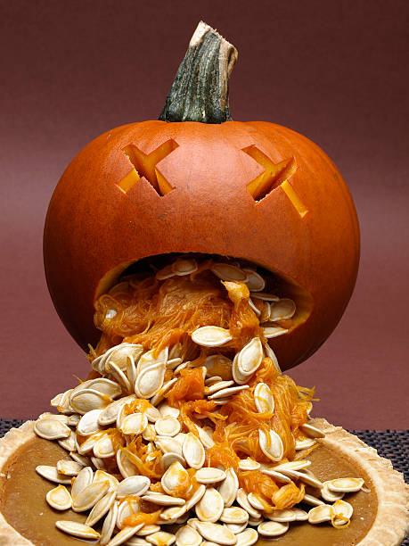 Sick Jack-0-Lantern "Pumpkin sickened by pumpkin pie. Could represent poor quality frozen pie, cannabalism or just funny." pumpkin throwing up stock pictures, royalty-free photos & images