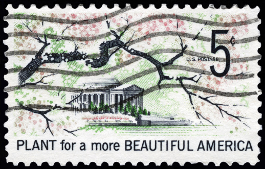 Cancelled Stamp From The United States: Plant for a more Beautiful America.