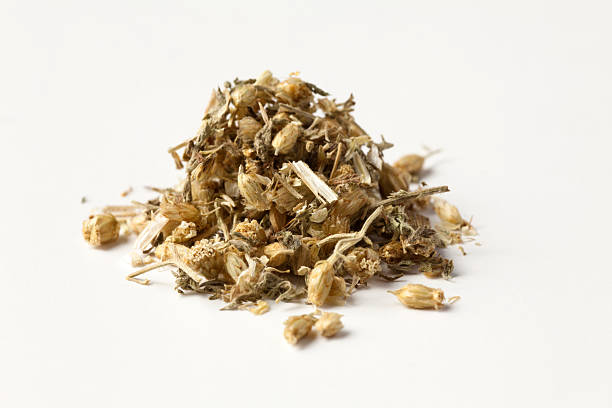 istock dried yarrow flower 184988754