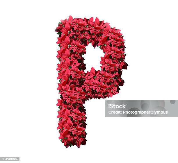 Poinsetia 알파벳 P 꽃-식물에 대한 스톡 사진 및 기타 이미지 - 꽃-식물, 알파벳 P, 0명