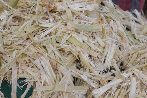 close up of a pile of Bagasse