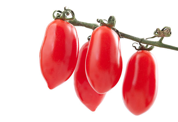 ameixa tomates vinha - plum tomato fotos imagens e fotografias de stock