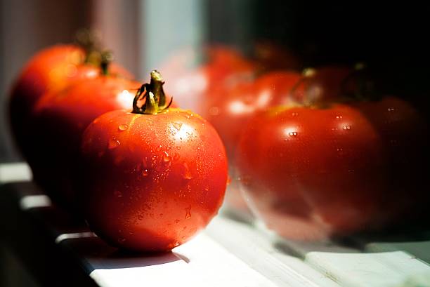 Reflets de tomate - Photo